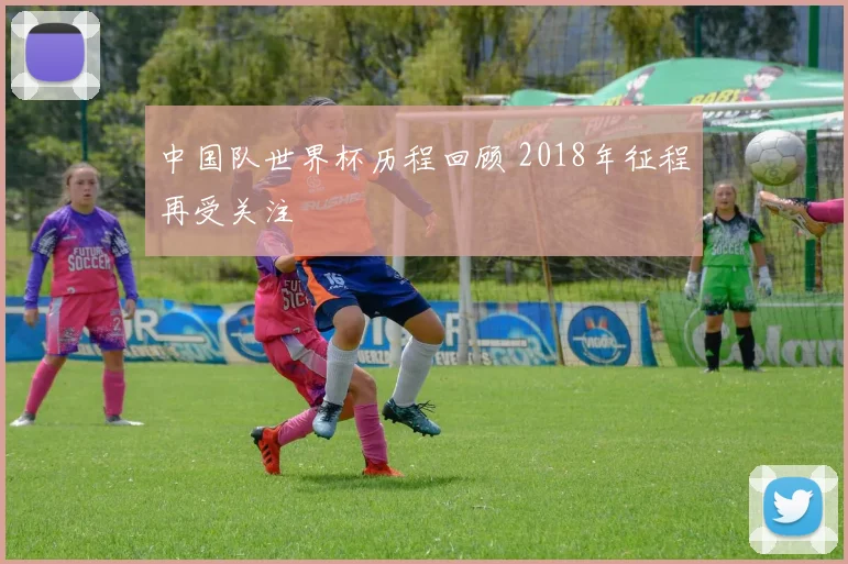 中国队世界杯历程回顾 2018年征程再受关注