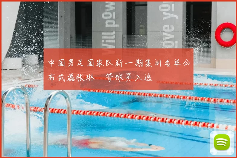 中国男足国家队新一期集训名单公布武磊张琳芃等球员入选