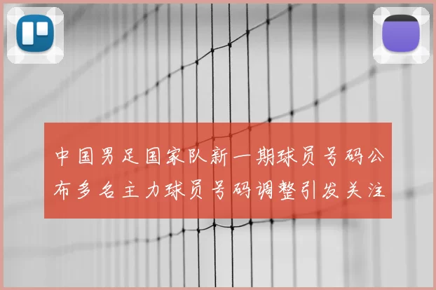 中国男足国家队新一期球员号码公布多名主力球员号码调整引发关注