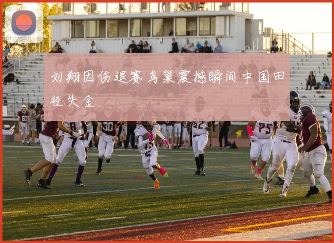 刘翔因伤退赛鸟巢震撼瞬间中国田径失金