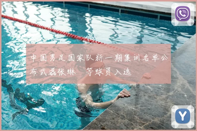 中国男足国家队新一期集训名单公布武磊张琳芃等球员入选